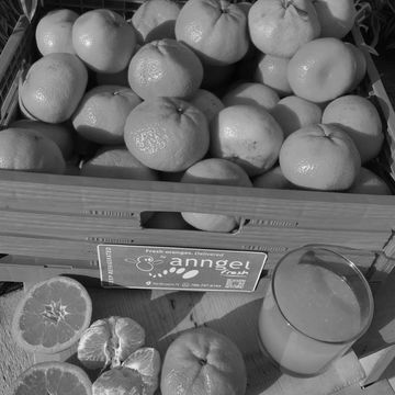 70 Mandarines from Peru, variety Clementine. 24Lb of exotic produce with a yield over 150oz