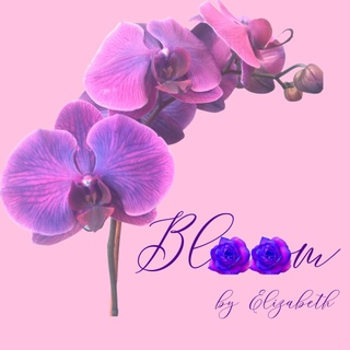 Bloom