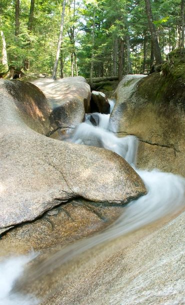 A serene forest stream flowing smoothly over large rocks.