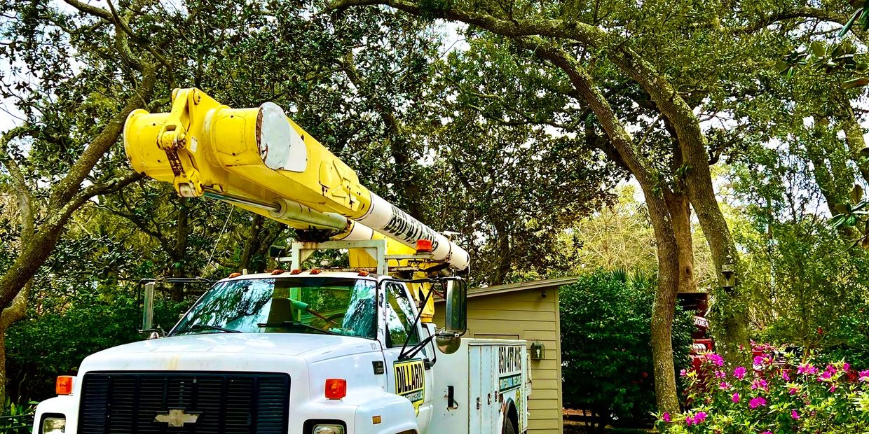 Myrtle Grove Tree Removal, Myrtle Grove Tree Services, Myrtle Grove Arborist, Excavation and Grading