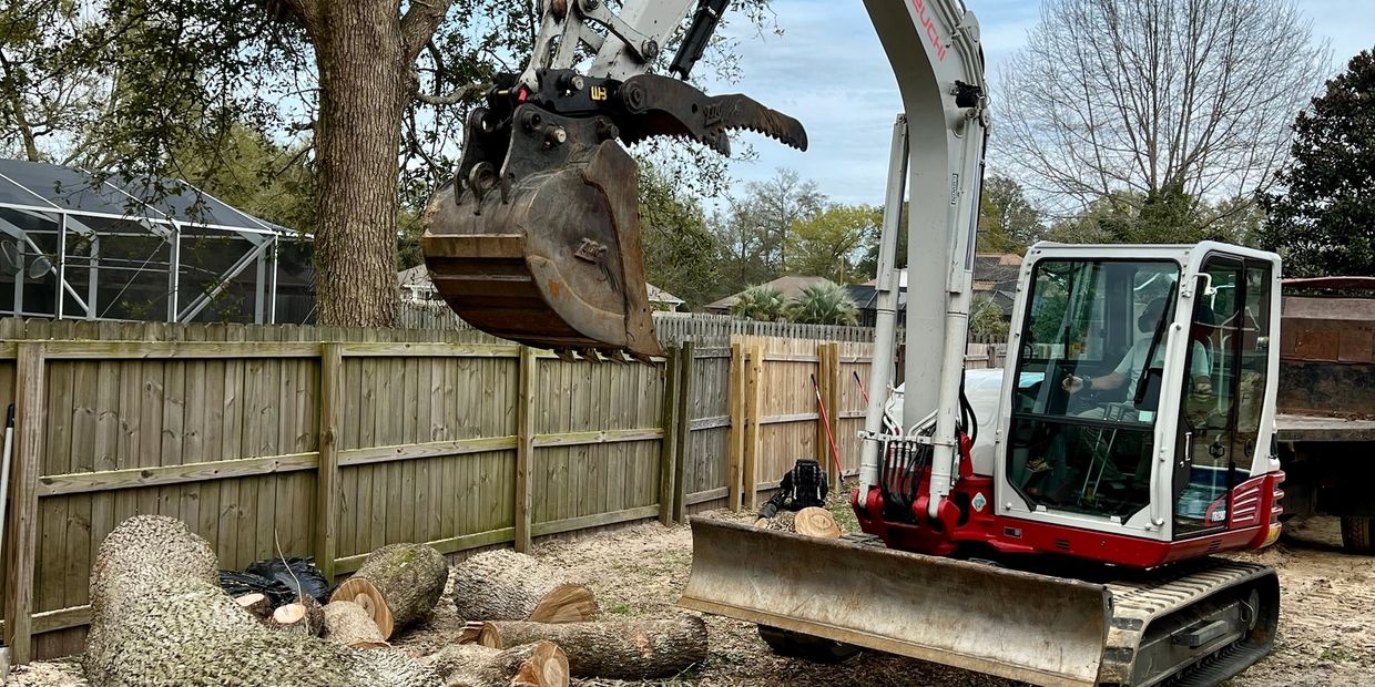 Warrington Tree Removal, Warrington Tree Service, Warrington Arborist, Warrington Tree Trimming