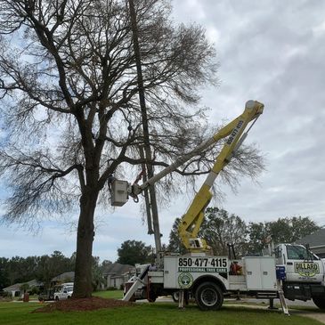 Tree Service,  Excavation, Erosion Control, Tree Trimming, Land Grading, Tree Removal, Pensacola