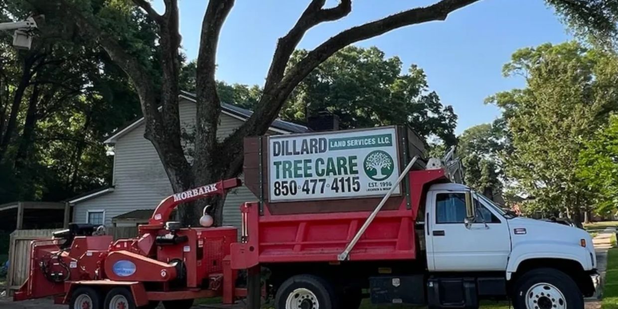 Gulf Breeze Arborist Services, Gulf Breeze Tree Services, Gulf Breeze Land Services, Gulf Breeze Tree Removal
