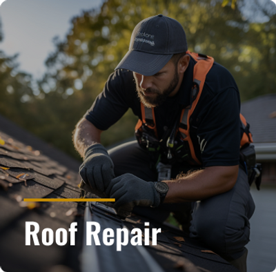 Delta BC Roof Repair
