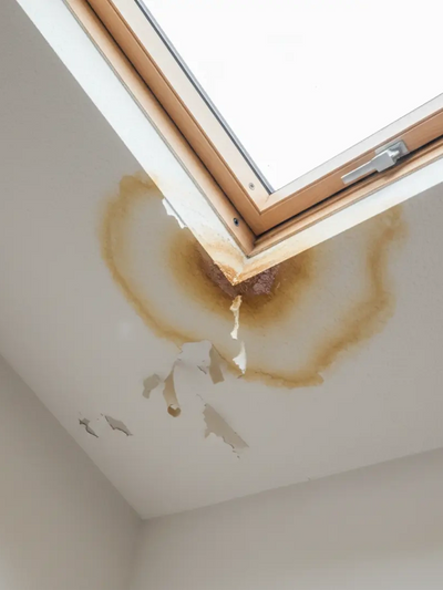 WEST VANCOUVER LEAKING SKYLIGHT REPAIRS