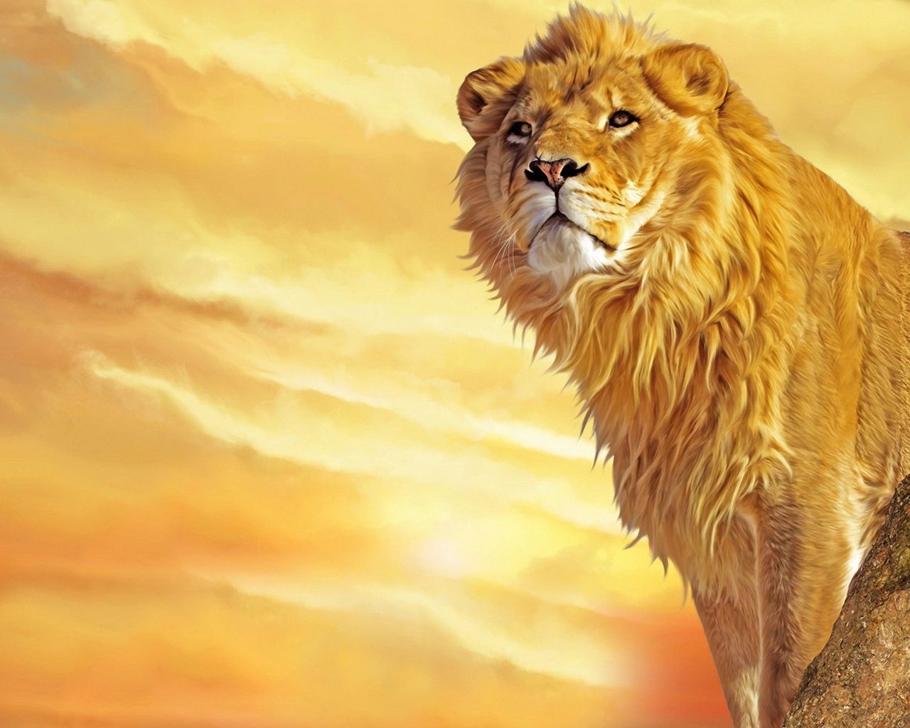 animated lion wallpaper hd