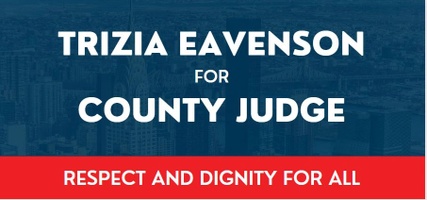 Trizia Eavenson 
For 
County Court Judge