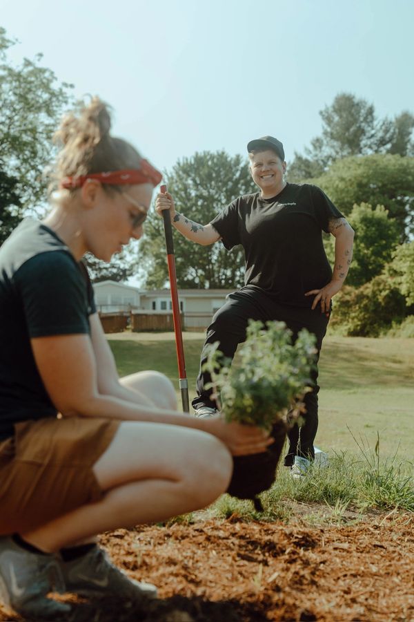 Two people gardening outdoors on a sunny day, planting greenery in soil.