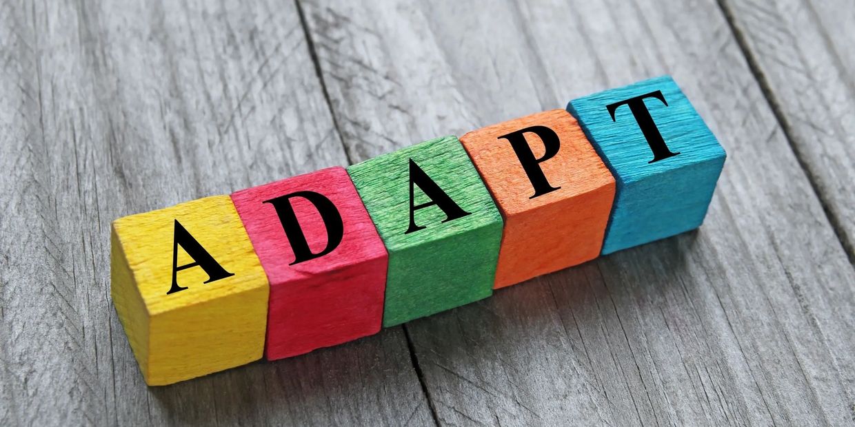 Capacity to Adapt