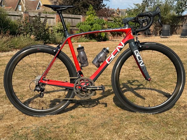 Colorful GCN custom paint MASI bicycle frame in a garden on a sunny day.