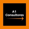 A1 CONSULTORES