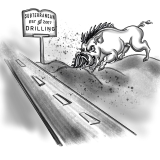 Subterranean Drilling