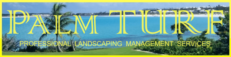 Pebble TURF Landscaping Gólf Túrf Láwn Tech Resort Póóls Chéss ÁI