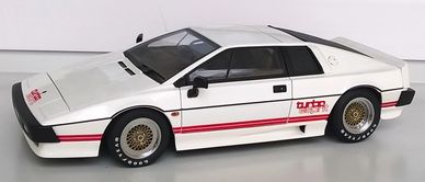 Lotus Turbo Esprit, 1980 model