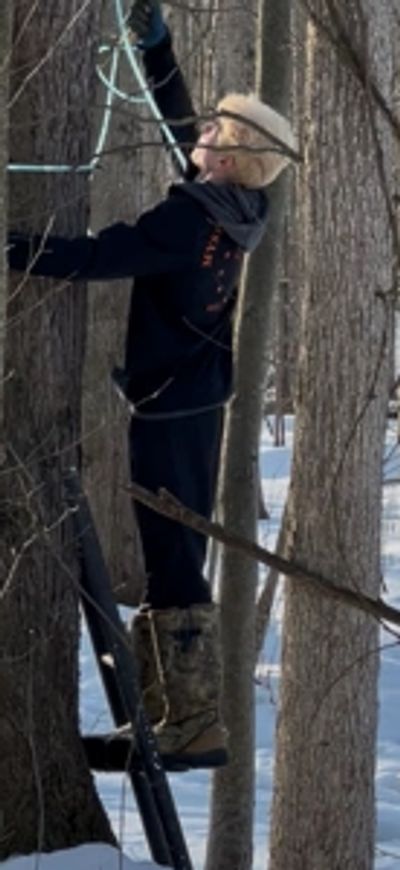 Person in winter clothes climbing a tree in a snowy forest.