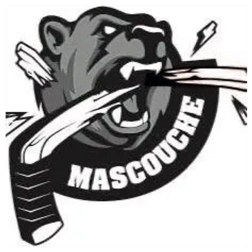 Association d'hockey mineur de Mascouche