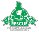 All Dog Rescue