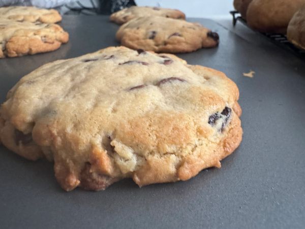Double Chip Chocolate Chip Cookies