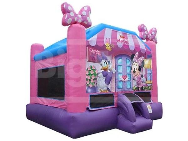 Minnie and Daisy themed bounce house