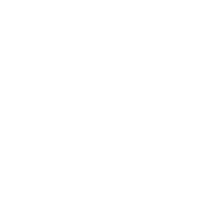 Soweto Ink