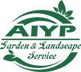 AIYP