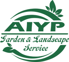 AIYP