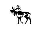 Royal Ridge LLC