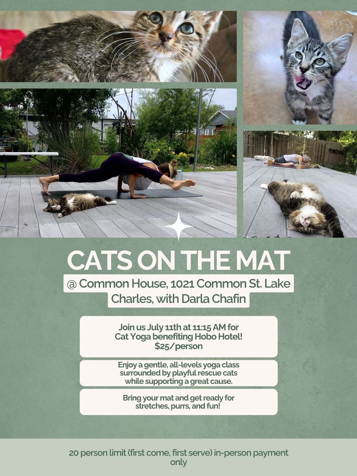 Cat yoga event with playful rescue cats at Common House in Lake Charles.