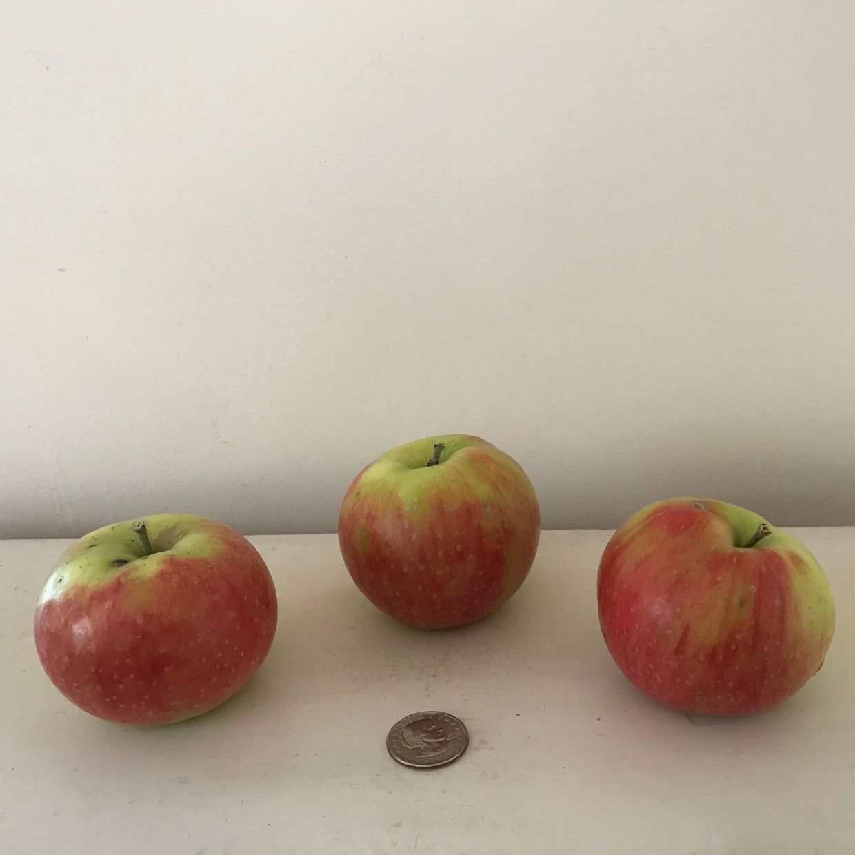 Smoke house apples and a quarter for size comparison