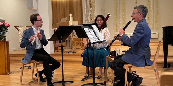 Agermos Chamber Music Project