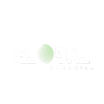 Global Dynamics Digital Solutions