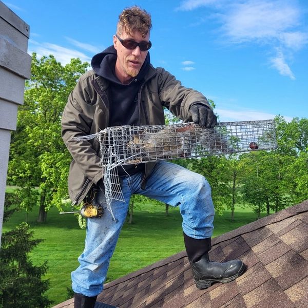 expert nuisance wildlife control, animal trapping, animal removal, live trapping, humane trapping