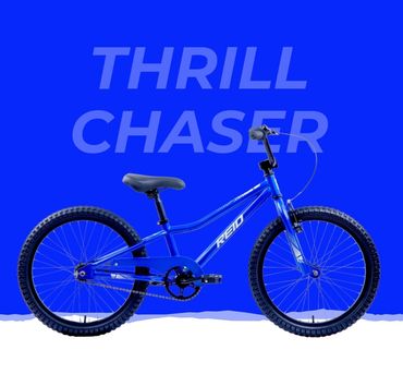 Reid 20 in also in pink $279