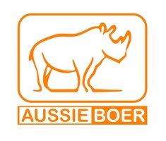 AussieBoer