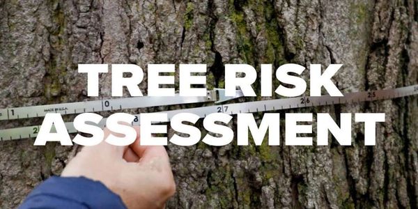 (QTRA) system applies established and accepted risk management principles to tree safety management.