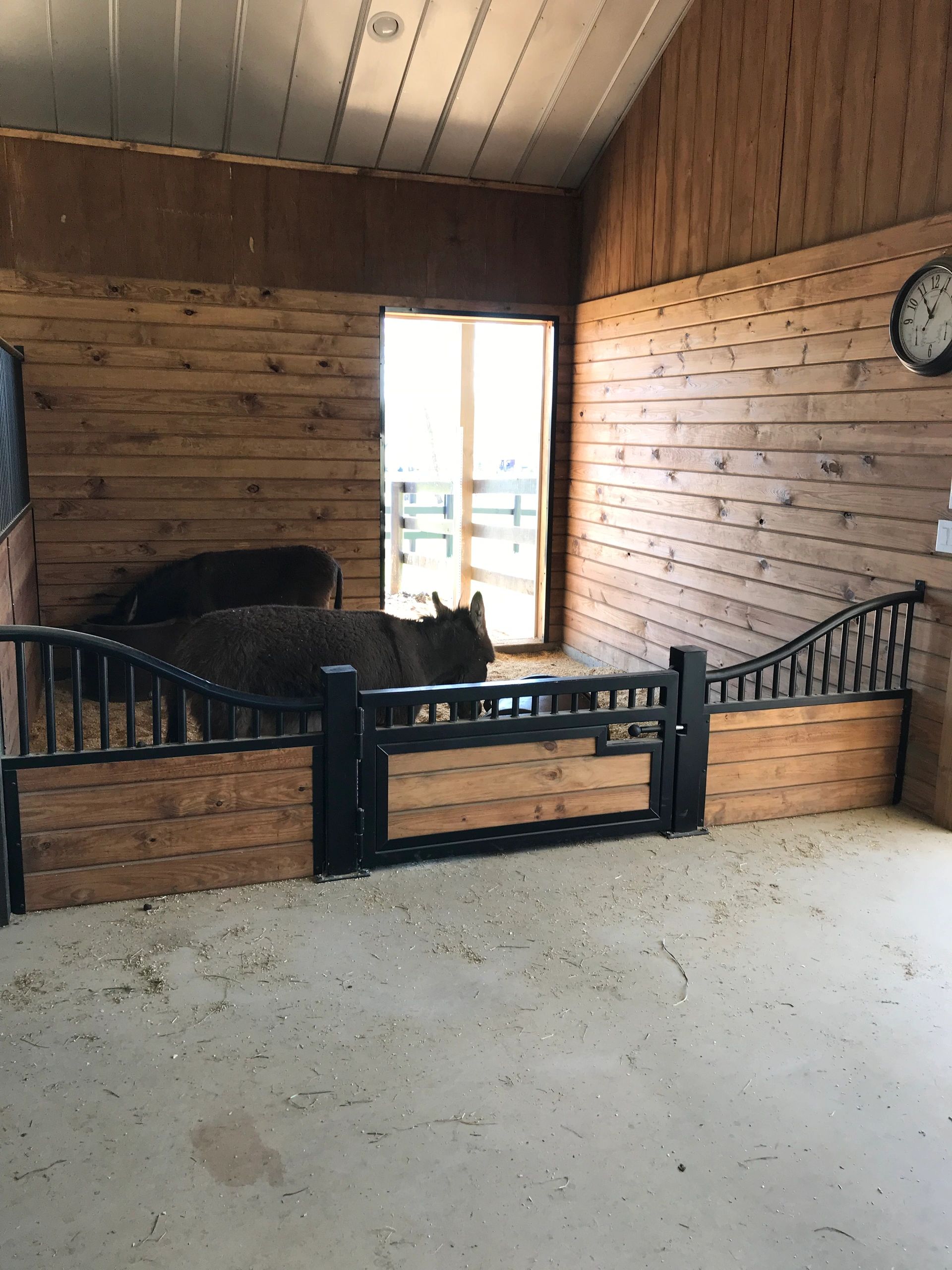 Two donkeys inside a wooden stable.