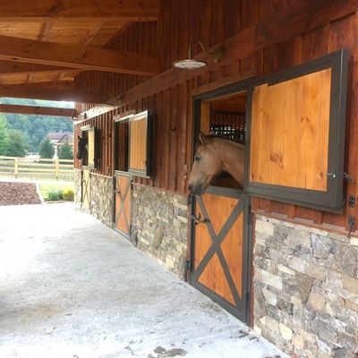 Horse peeking out of stable door in a wooden barn.