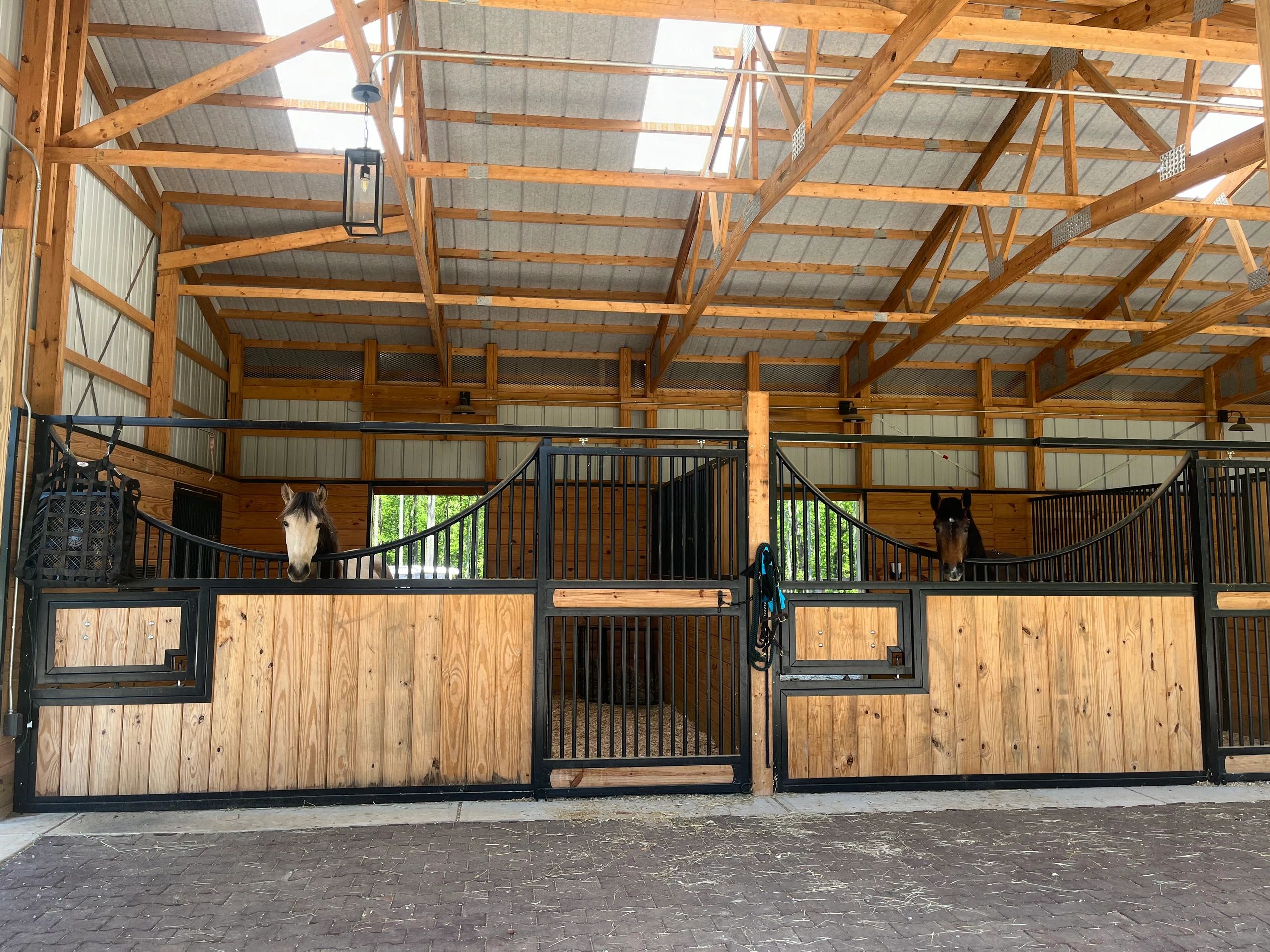 Two horses in a wooden stable with black metal gates.