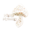 Mighty Mycology