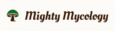 Mighty Mycology