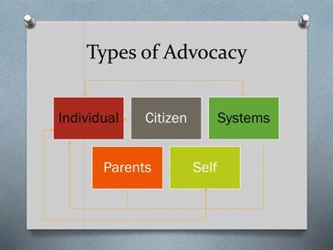 white box with types of advocacy written & 5 smaller boxes with individual citizen systems parents s