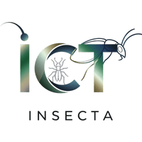 Insecta