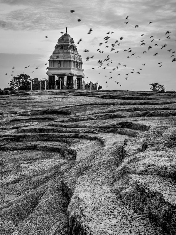 Birds flying near an ancient temple on rocky terrain in black and white.