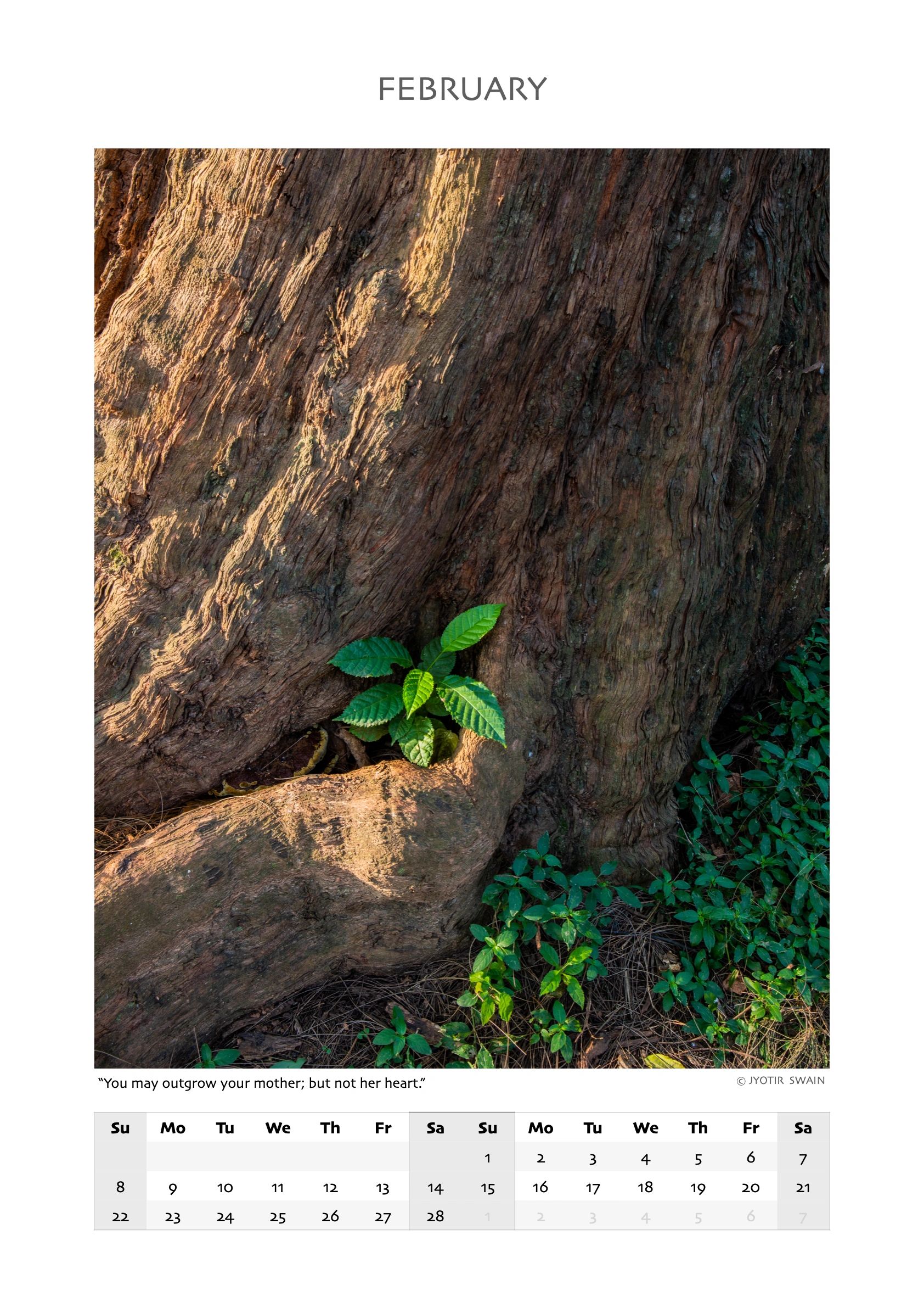 Young green leaves sprouting from a tree trunk in February.