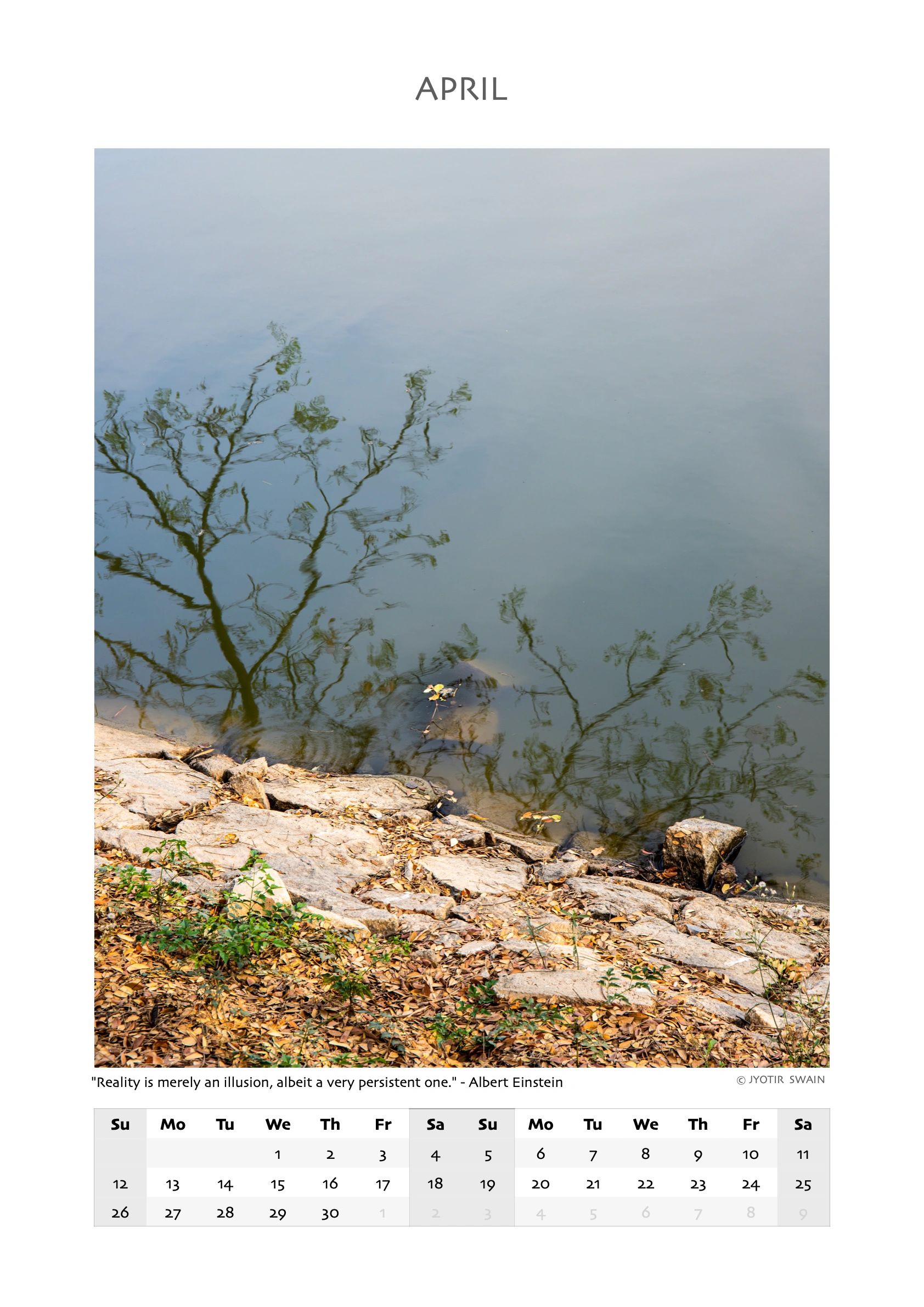 Reflection of tree branches in calm water by a rocky shore in April.