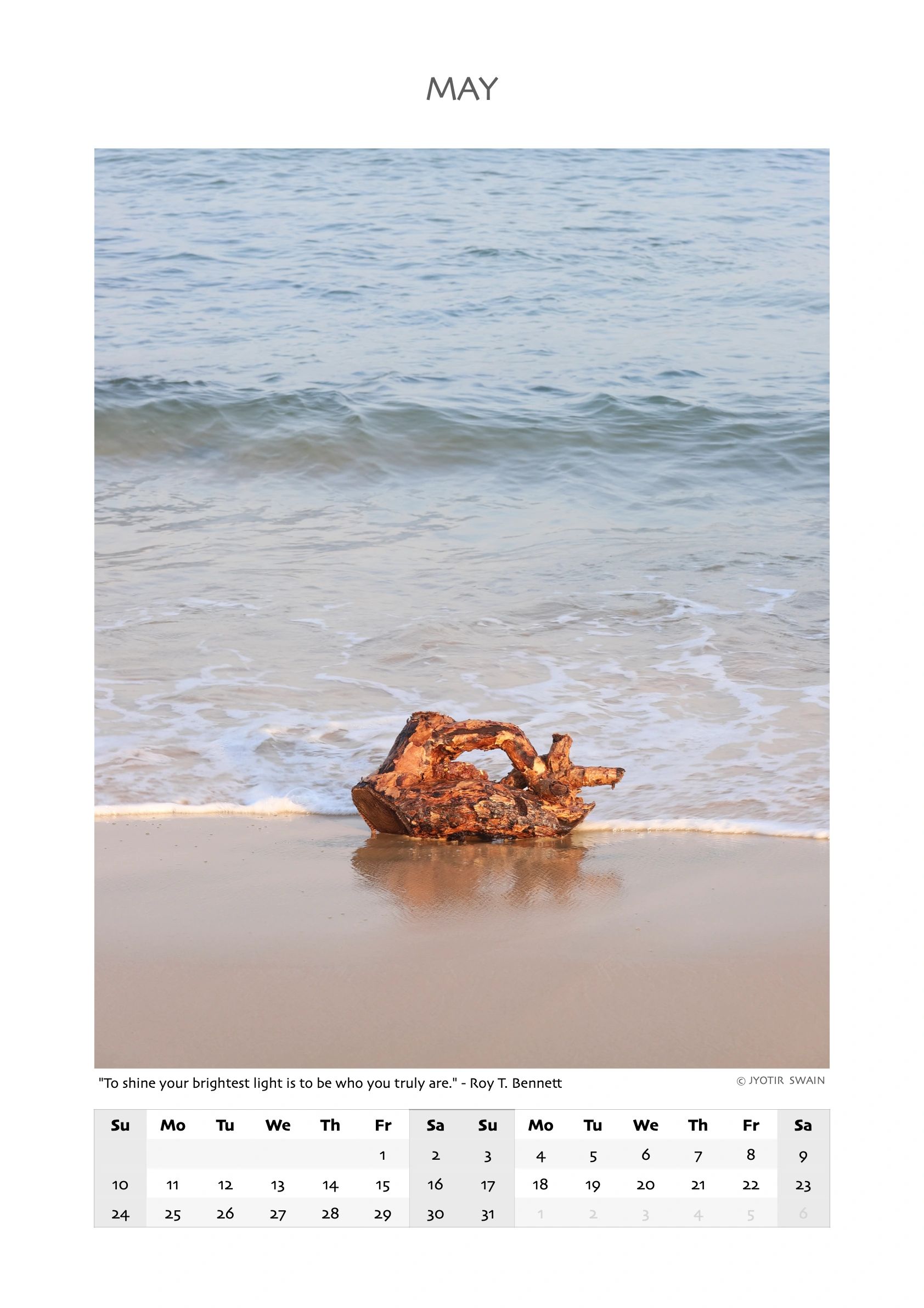 A piece of driftwood on the shore with gentle waves in May.