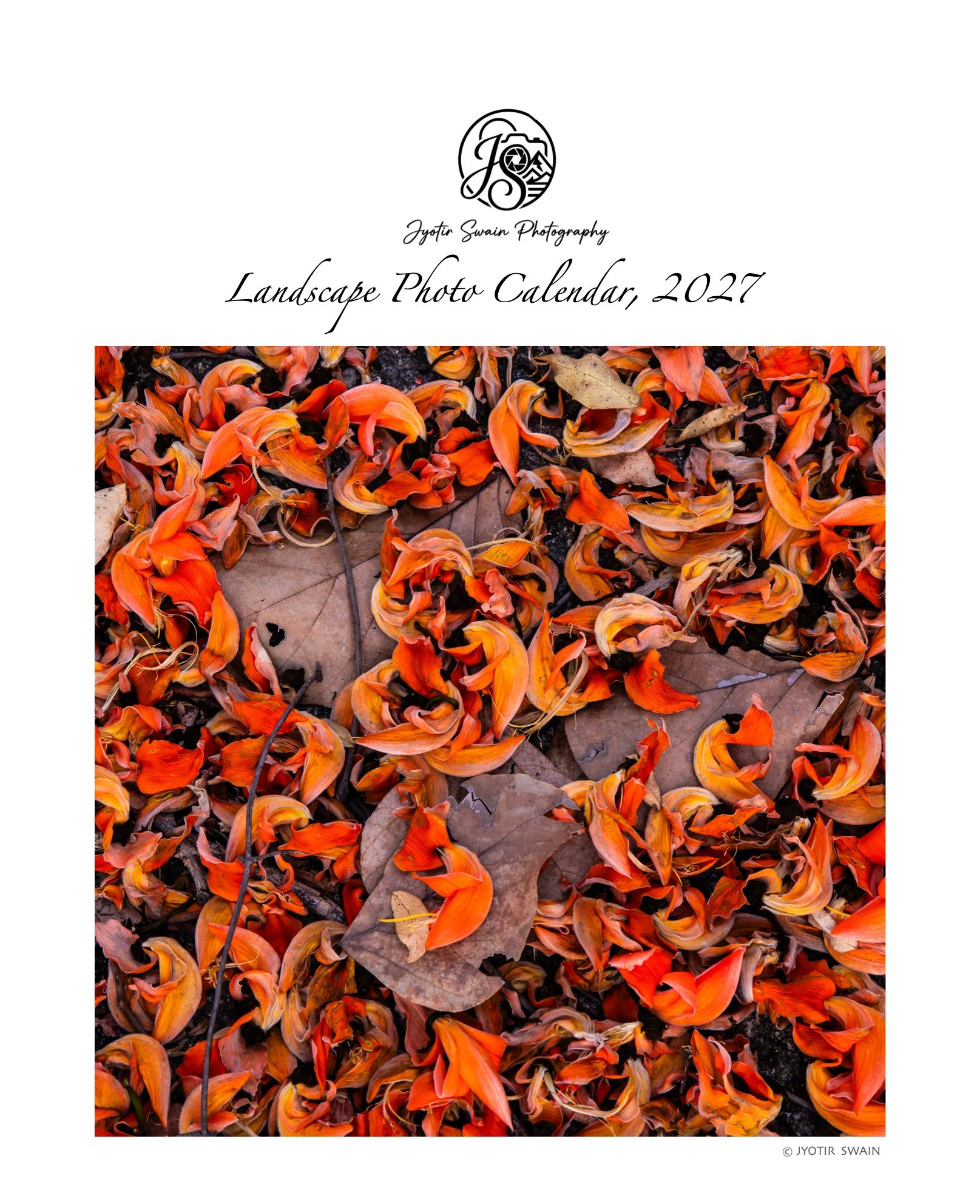 Dried orange petals and leaves on the ground.