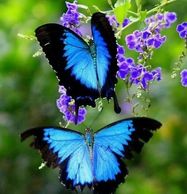 Relationship coaching, intimacy support, partnership advice, couples councelling, marriage guidence t