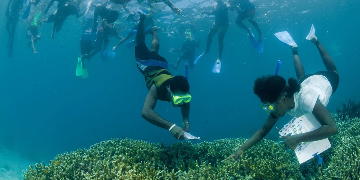 Marine conservation in Kimbe Bay, Papua New Guinea.