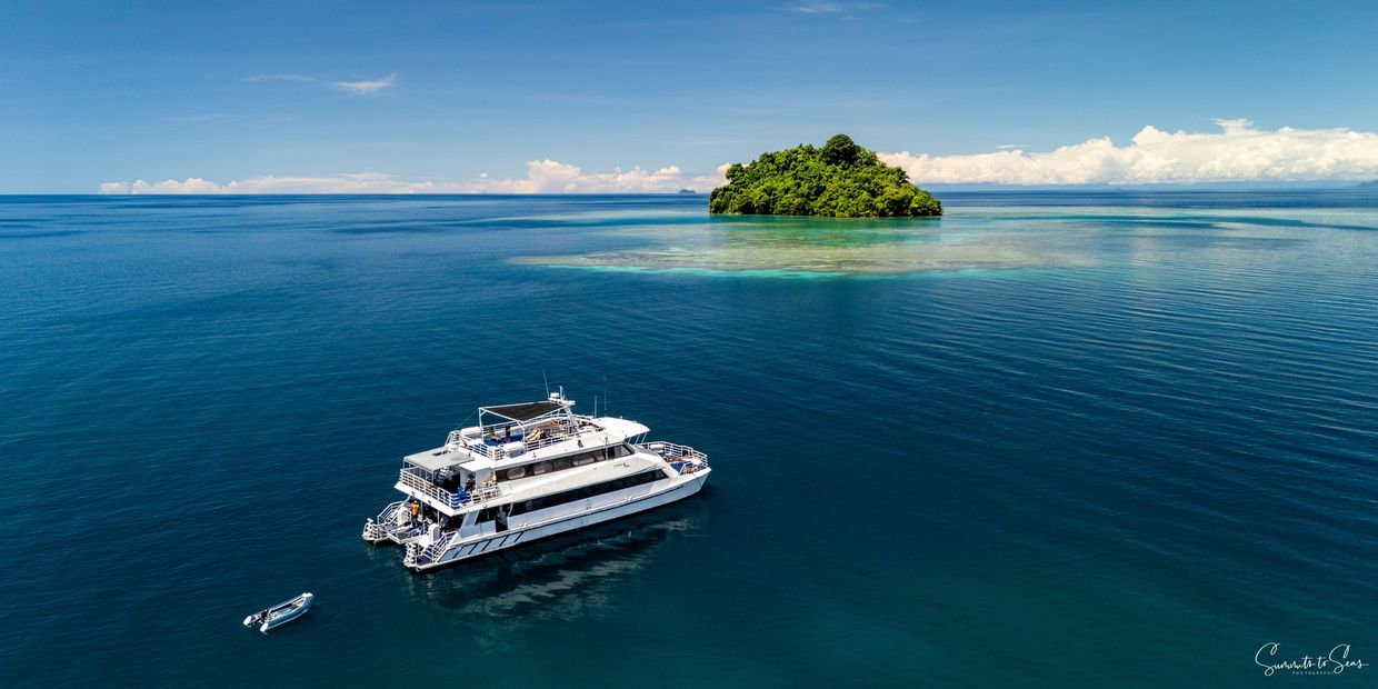 Image by Anita Verde and Peter Marshall - Summits to Seas